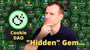 COOKIE DAO COOKIE DAO 1